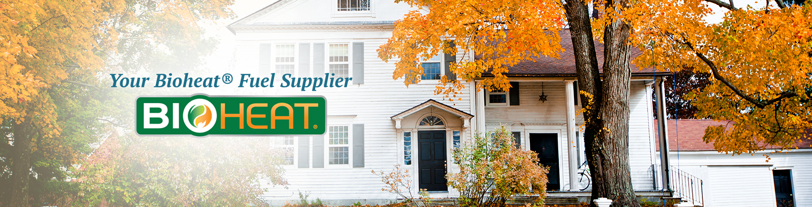 Learn about Bioheat fuel